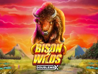Bison Wilds DoubleMax cover image